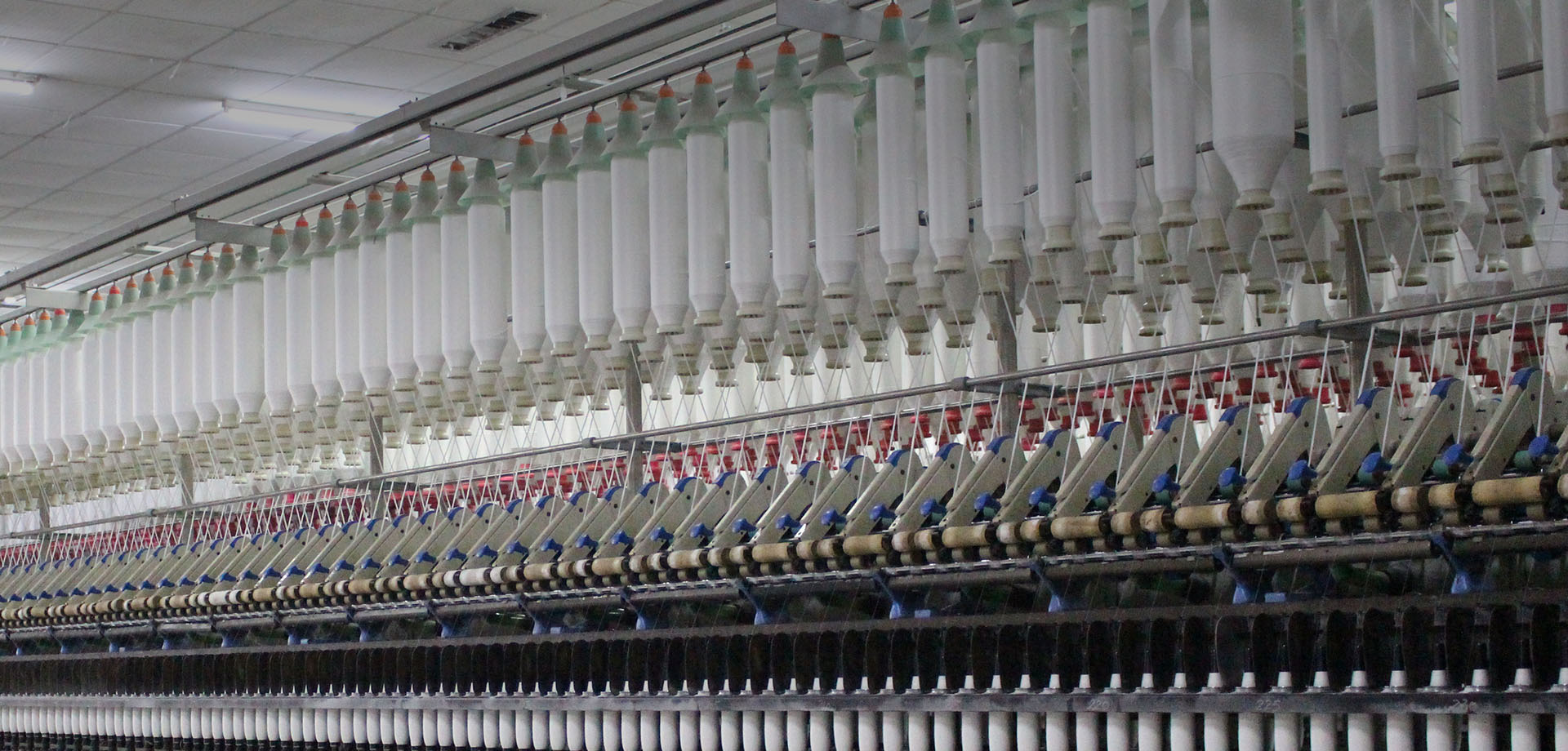 Image: Merck Moments